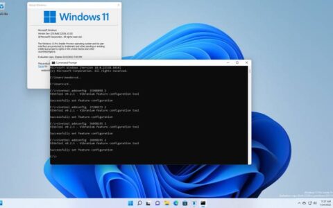 这是在 windows 11 build 22538 中启用和禁用新任务管理器的方法