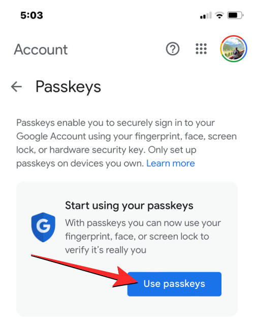 google-passkeys-iphone-4-a