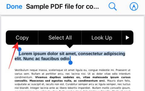 在 iphone 上从 pdf 获取文本的 3 种方法