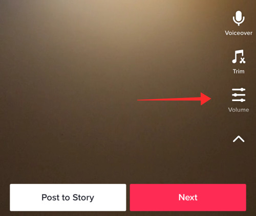 tiktok-volume-button