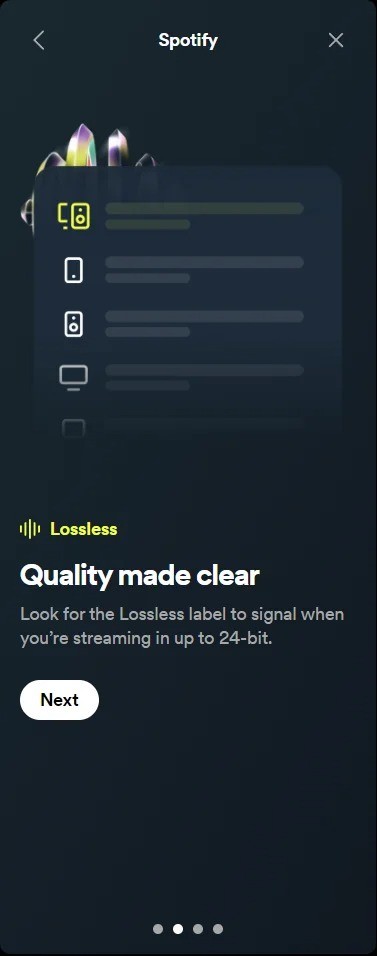 spotify-lossless-6