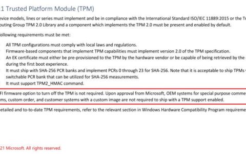 在某些“特殊”pc 上运行 windows 11 不需要 tpm