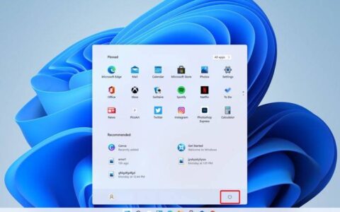 修复：搜索栏在 windows 11 中不起作用