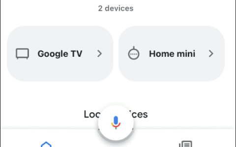 如何修复 google home 出错的错误