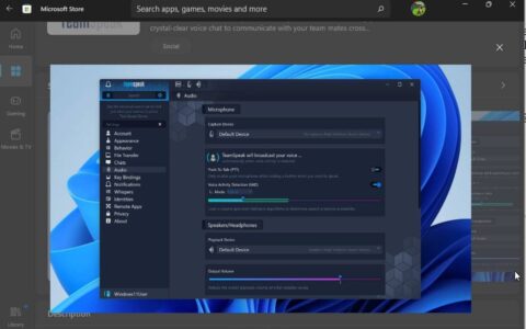适用于 windows 11 的新 teamspeak 应用程序出现在应用商店中