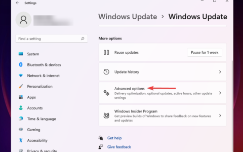 如何修复 windows 11 中的网速慢