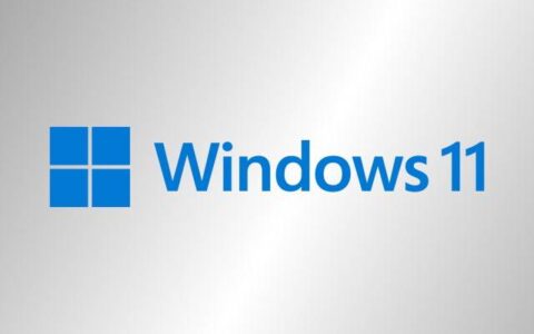 如果您想坚持使用 windows 10，如何锁定 windows 11