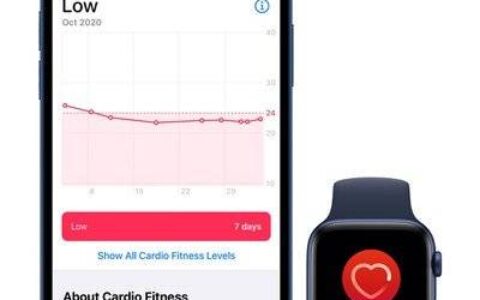 如何在watchos 7.2和ios 14.3中设置有氧运动水平